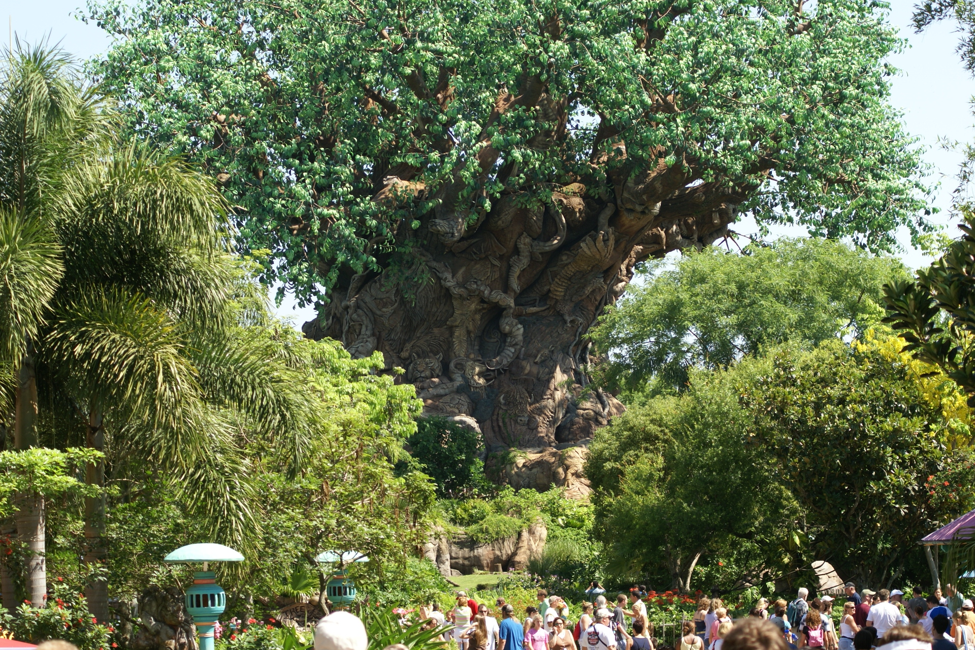 Closeup view of Animal Kingdom Tree of Life