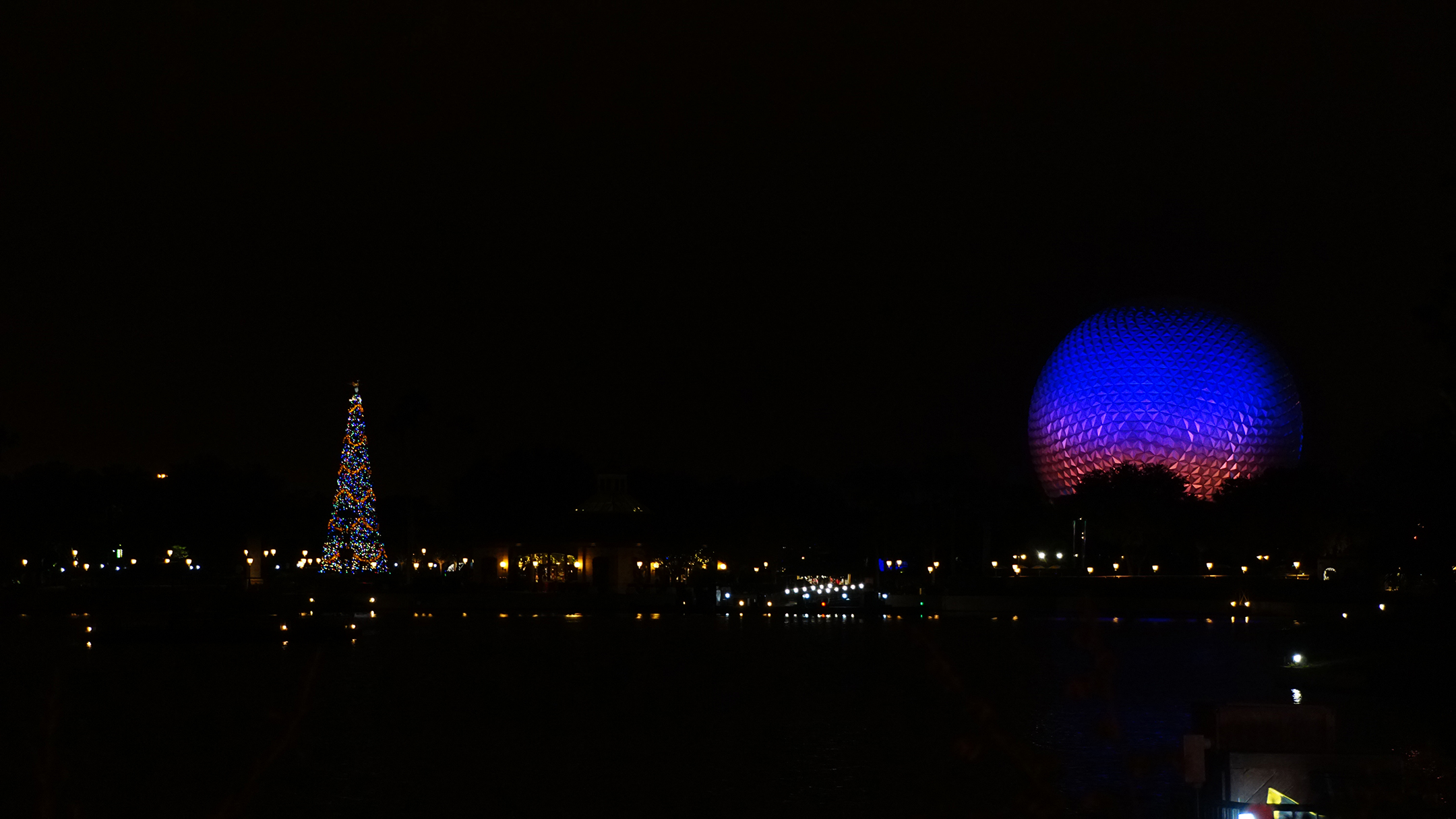 Spaceship Earth and Christmas tree at night