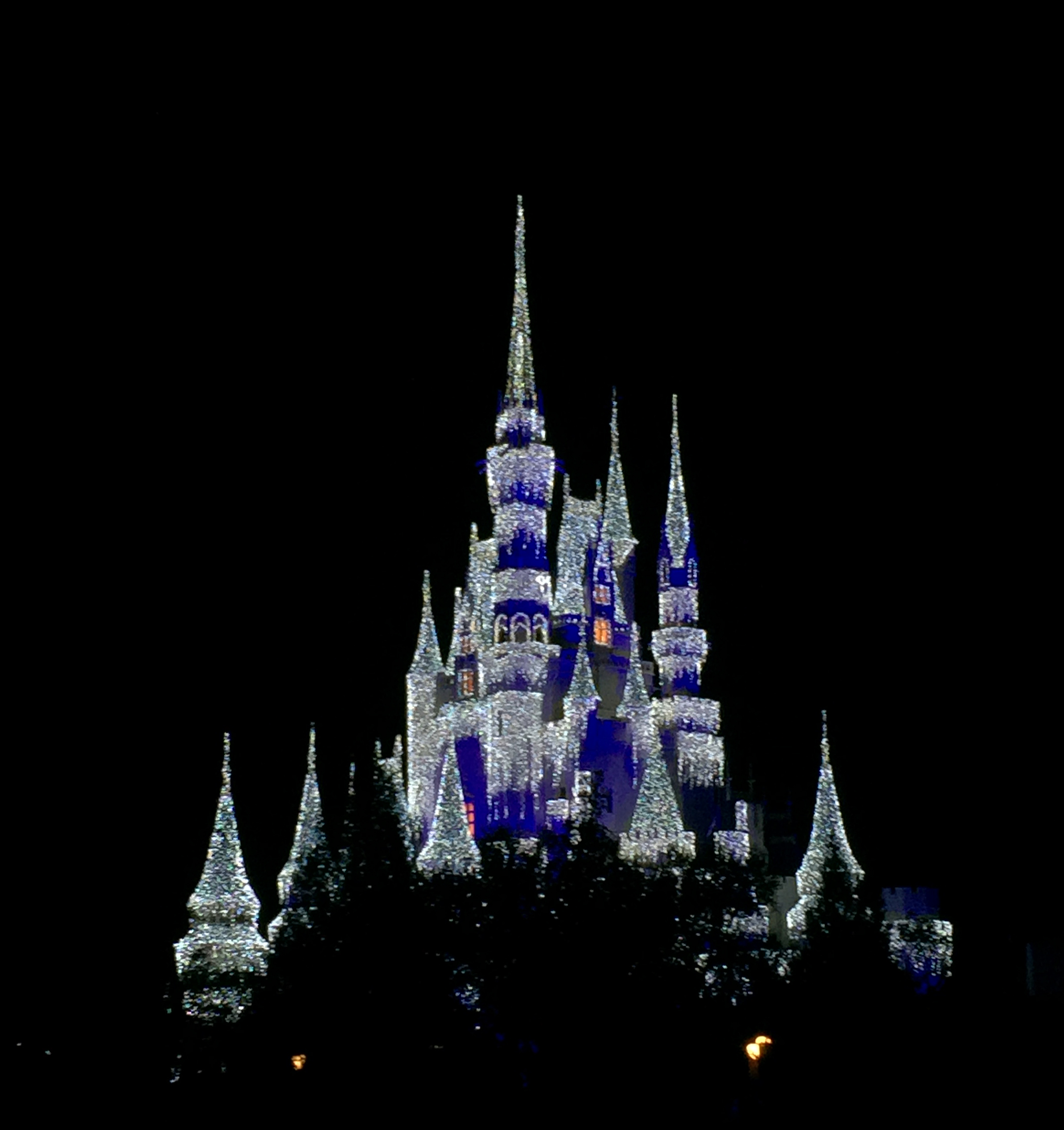 Cinderella's Castle with twinkle lights
