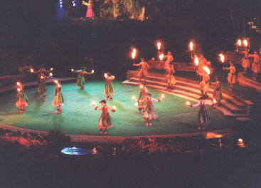 Traditional dancers performing after dinner