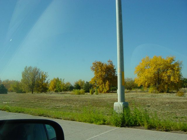 trees with fall colors from car window