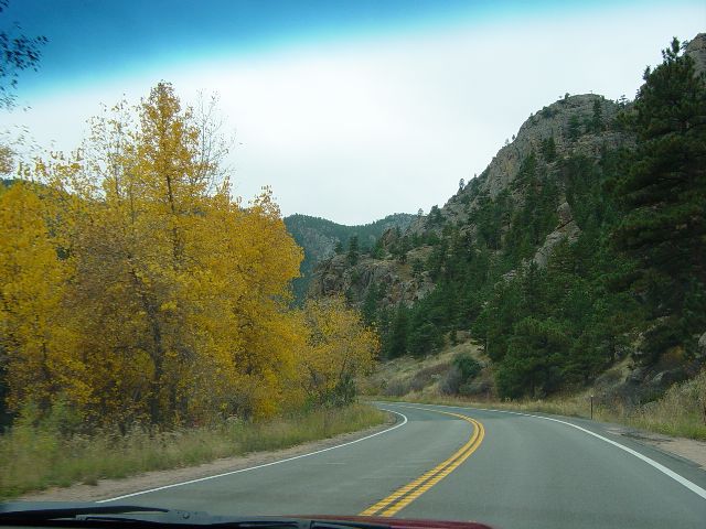 Yellow leaves on trees along the roadway