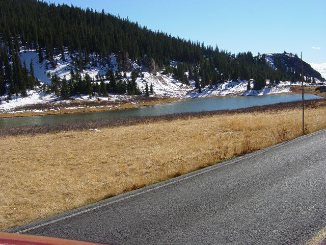 snow among the pine trees leading down to a calm pond along the roadway