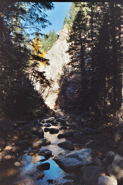 Peaceful creek running amongst rocks and pine trees