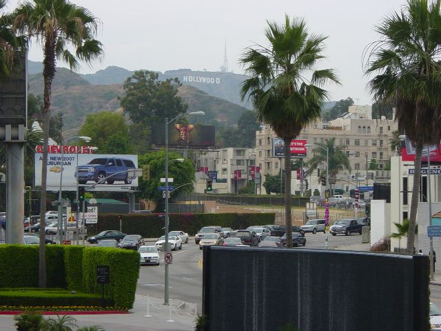 Hollywood sign above the palm trees and busy road