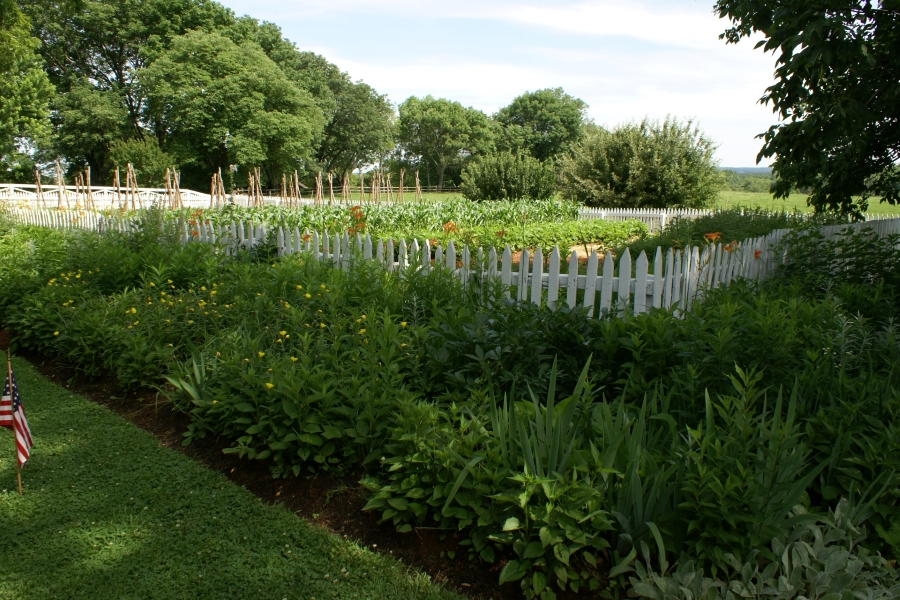 A white picket fence surrounds an orderly vegetable garden with a variety of plants