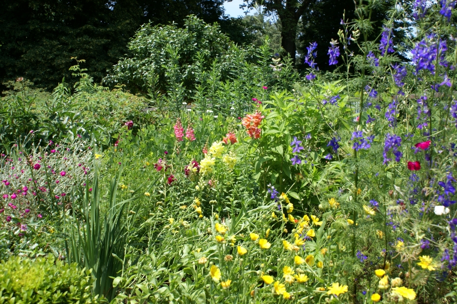 Red, purple, and yellow wildflowers share a planting bed