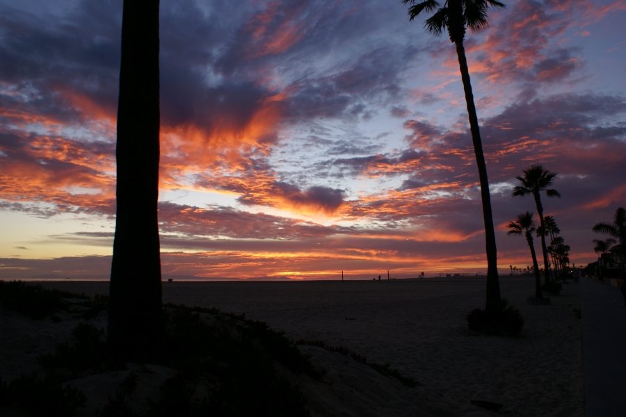 Palm trees are silhouetted in front of scattered orange and yellow clouds catching the last light from the setting sun
