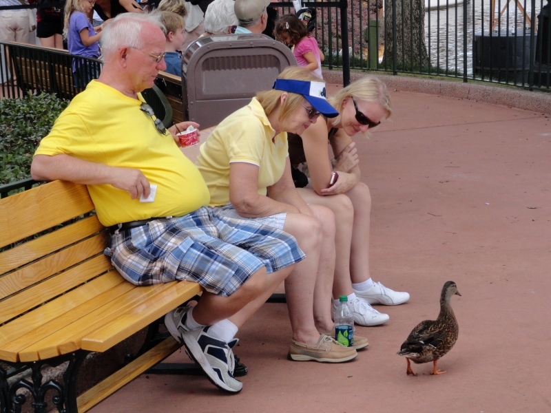 Jim, Gayle, and Cheri sit on a bench and watch a duck wander past their feet