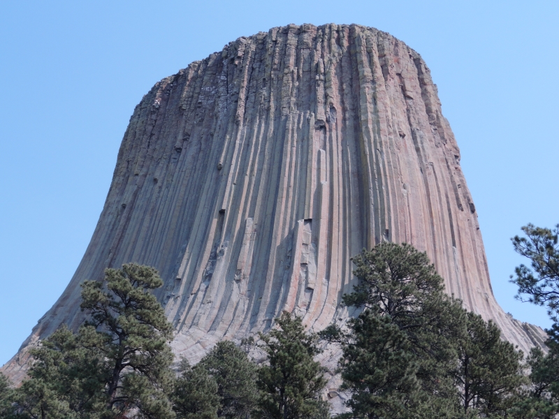 A natural stone tower with rippled sides extends far above the trees into the clear blue sky
