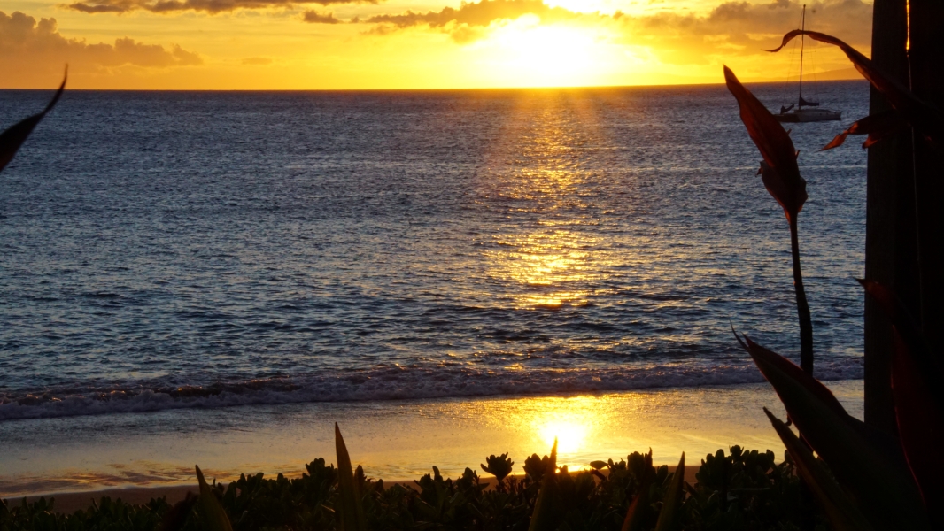 A stunning sunset painting the sky with hues of orange, pink, and purple. The sun dips below the horizon, casting a golden glow on the calm ocean waters. A lone sailboat glides across the horizon, silhouetted against the vibrant sky. The gentle lapping of waves against the shore completes this picturesque scene.