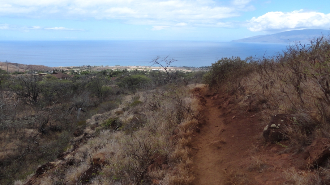 A winding dirt path leading through a landscape of dry, brushy vegetation. The path descends towards a distant coastline, where the vast ocean meets the sky. You can almost feel the warm breeze carrying the salty scent of the sea.