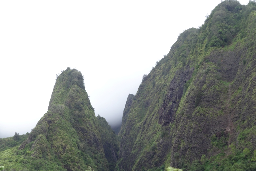 A narrow valley surrounded by towering cliffs. The cliffs are covered in lush green vegetation, and wisps of fog cling to their sides.