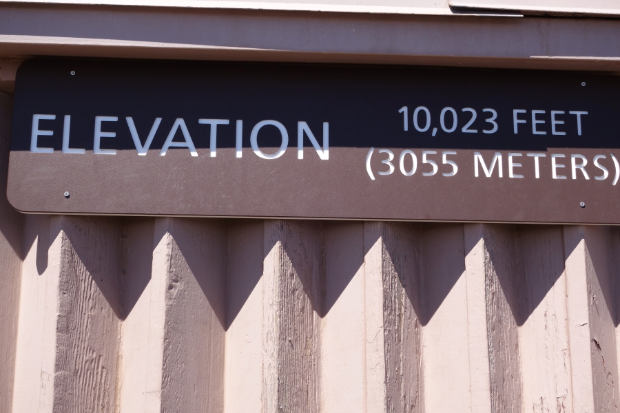 A rectangular sign with the word ELEVATION nesxt to 10,023 FEET (3055 METERS) in large, raised letters of an easy-to-read font. The sign is attached to a textured wall.