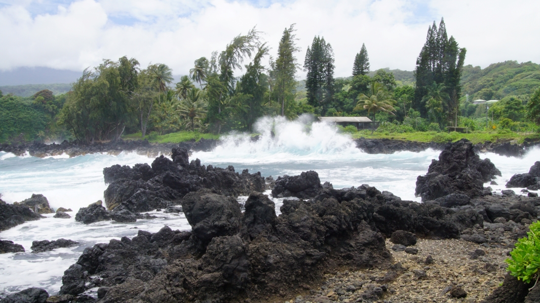 A dramatic coastal scene with powerful waves crashing against jagged black rocks. Lush green vegetation lines the shore, contrasting with the rugged terrain. The sound of crashing waves and the salty sea breeze create a vibrant and dynamic atmosphere.