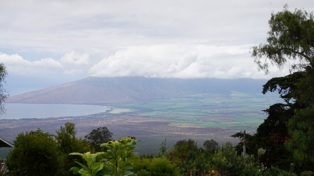 A sweeping panorama of a lush, tropical landscape. A misty mountain range rises in the distance, overlooking a patchwork of green fields and a shimmering coastline. 