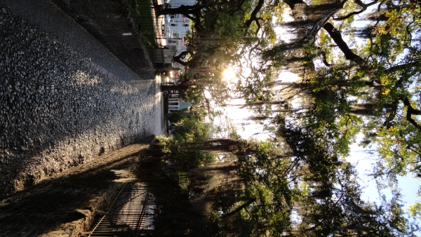 Image One