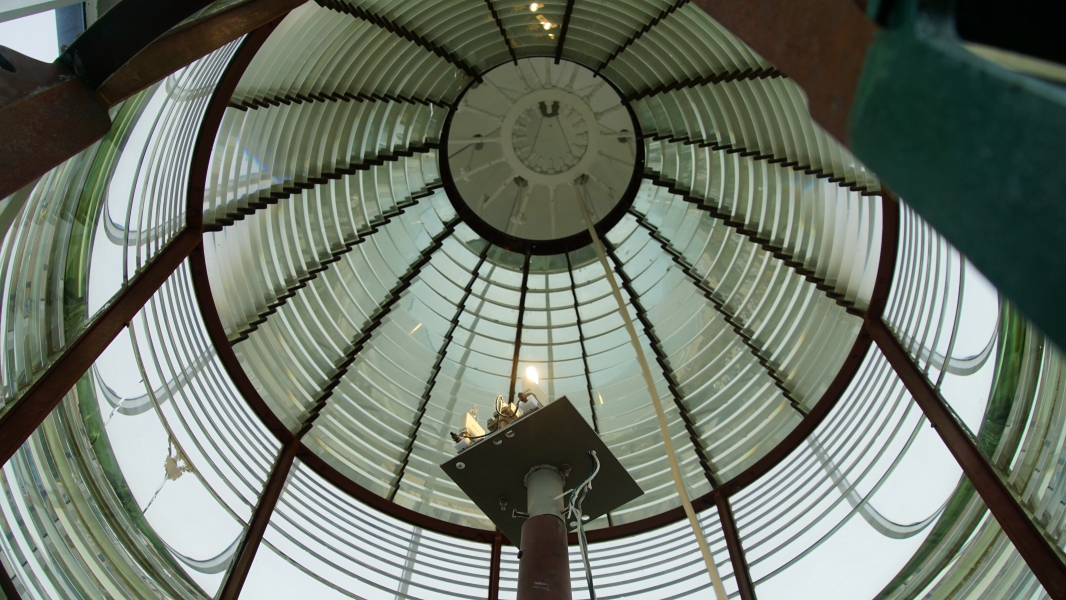 Image Five