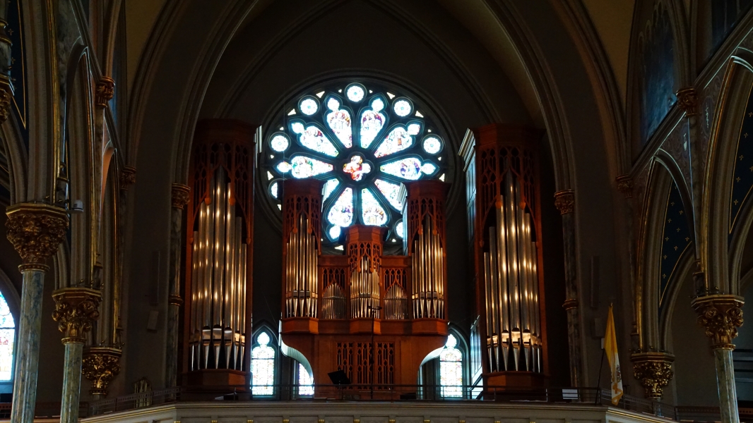 Image Three