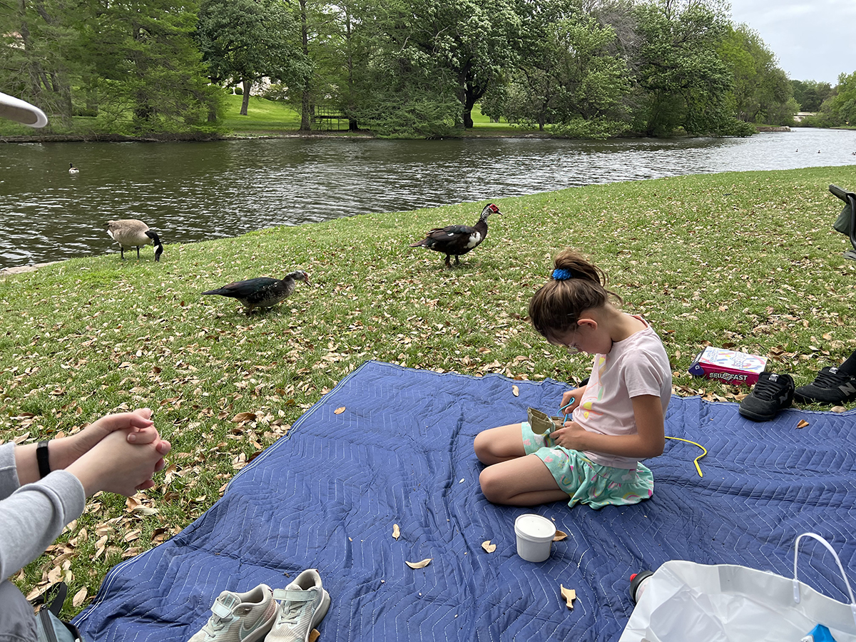 Some ducks near a blue blanket with a small lake in the background