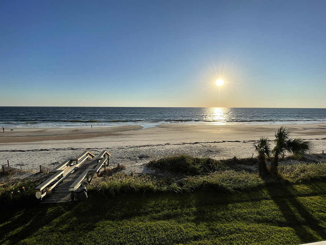 Sun shining down on palm true and boardwalk beach access