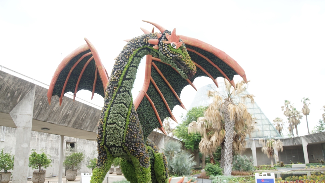 A large dragon with wings spread made from various plants stands guard near buildings with concrete bases and towering glass walls
