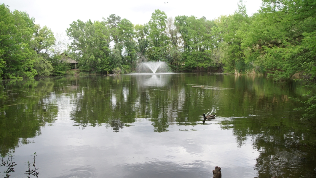 A pond surrounded by dense trees has a fountain in the center and a log cabin off to one side