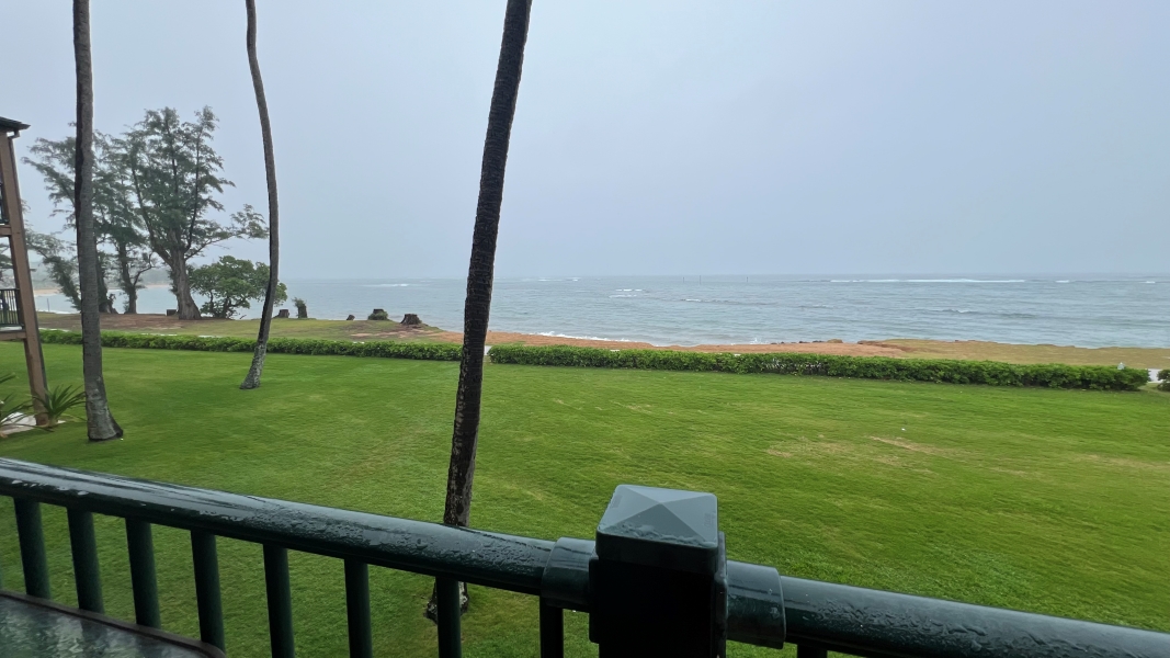 A green handrail and the palm tree trunks are wet, and the horizon is obscured by light rain falling as waves crash on a sandy beach beyond a manicured green lawn