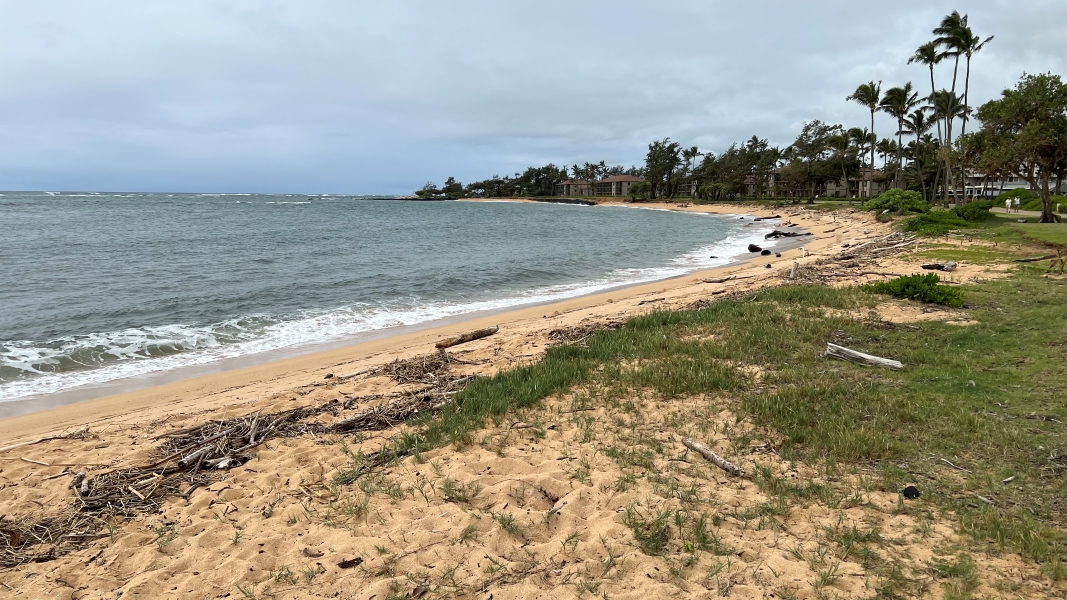 Small waves crash onto a sandy beach strewn with driftwood as it curves around with trees and three-story condo blocks set back from the sand
