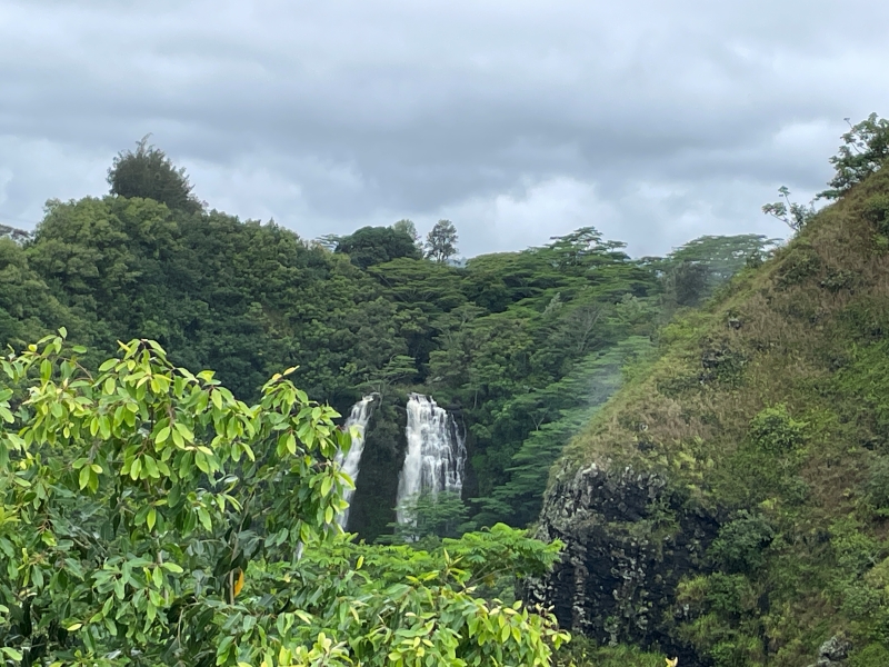 Below a gray cloudy sky, a wall of green plants is broken by two wide cascading waterfalls