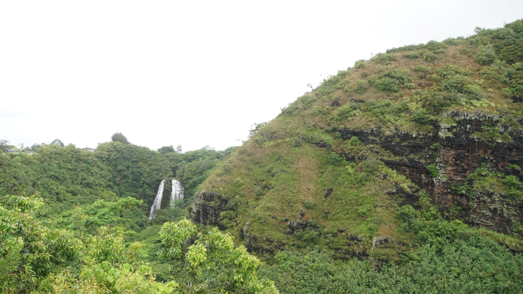 Below a gray sky, a wall of green plants is broken by two wide cascading waterfalls at the end of a valley full of trees with a rounded stone mount covered in scrub grass and low plants to the right side