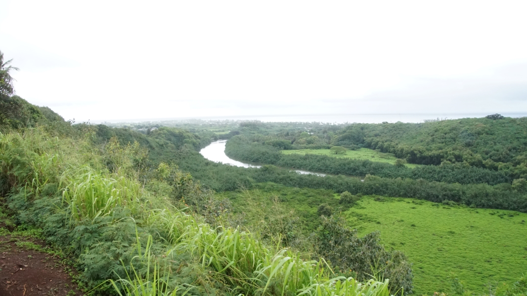 A wide river curves through a low flat area surrounded by trees and fields as it approaches buildings along the coast where it meets the ocean in the distance