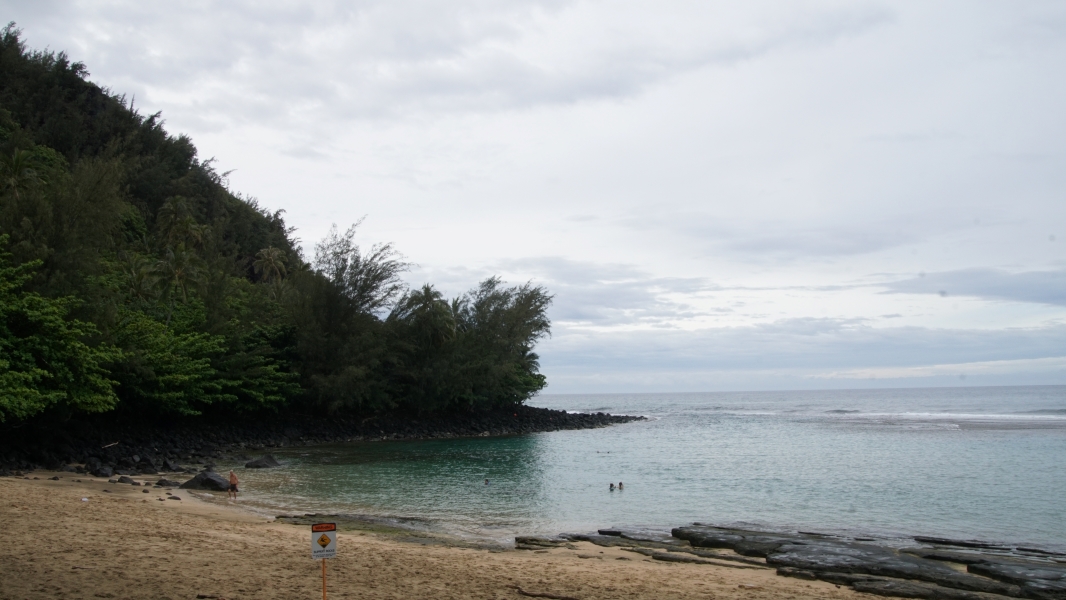 A sandy beach gives wat to the light blues of shallow ocean water with a steep slope covered in trees runs up out of the water in the distance