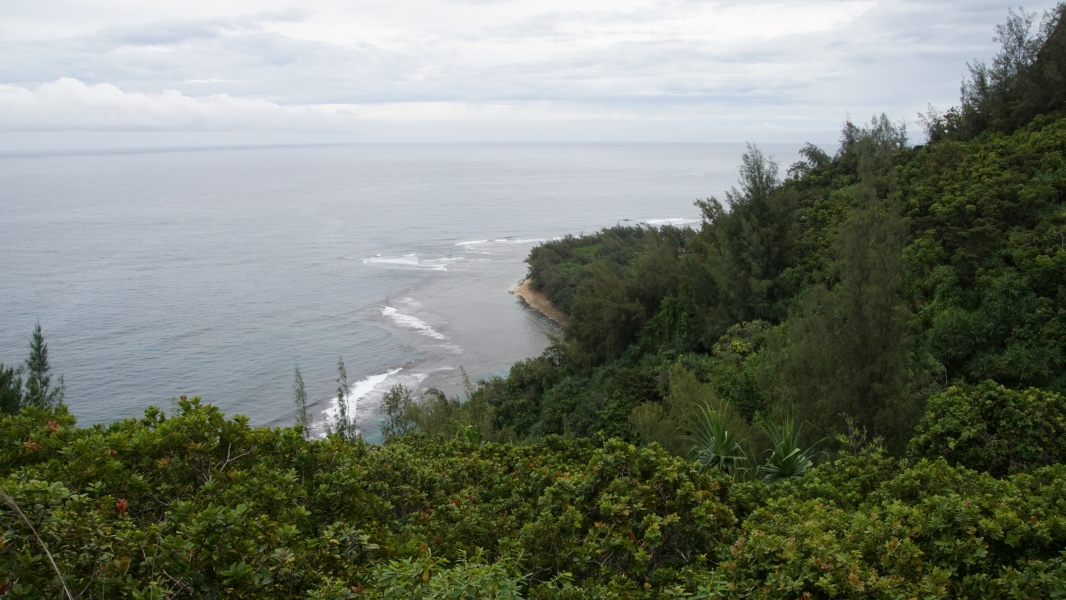 Looking down at a thin beach running between the ocean and thick trees running quickly up hill