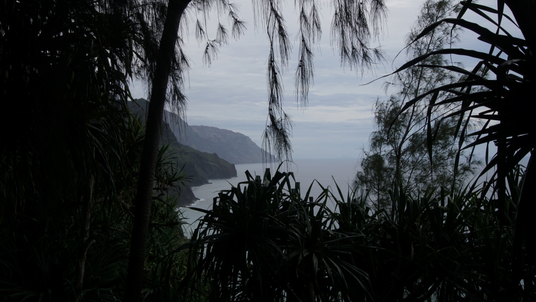 Through an opening in thick trees the ocean can be seen against steep stone cliffs coming out of the water below partially cloudy skies