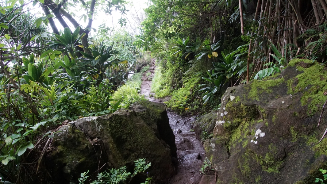 A narrow muddy path running along a steep wall with scrubby plant growth on the left and a steep drop off to the right passes between two large boulders
