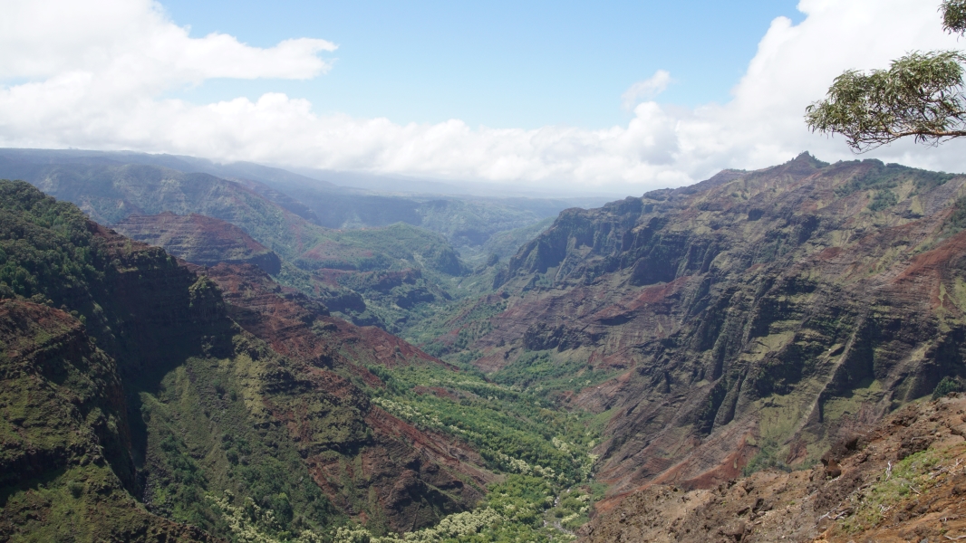 Cliffs rice from a green forested canyon floor with a river running through it with clouds building in the distance