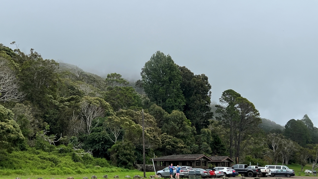 Gray clouds filter through the tops of trees rising up the slope of a hill above a parking area and two wooden camp structures