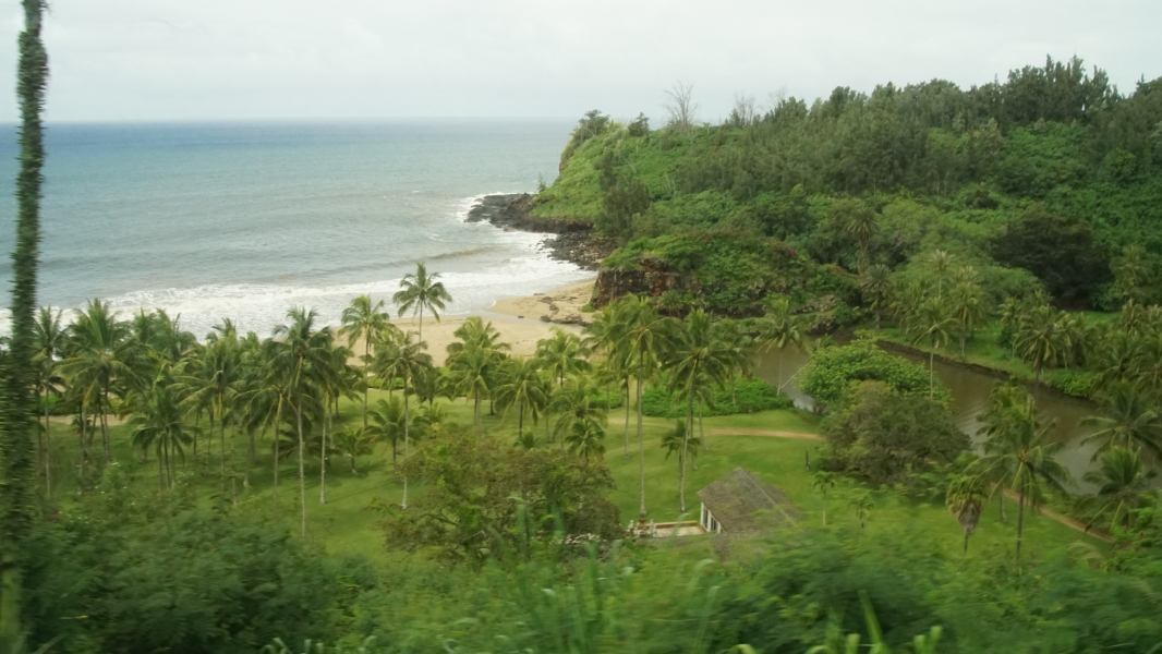 Ocean waves lap onto a white sandy beach with a stream cutting through it neat a house surrounded by a green lawn and tall palm trees all nestled at the end of a narrow valley