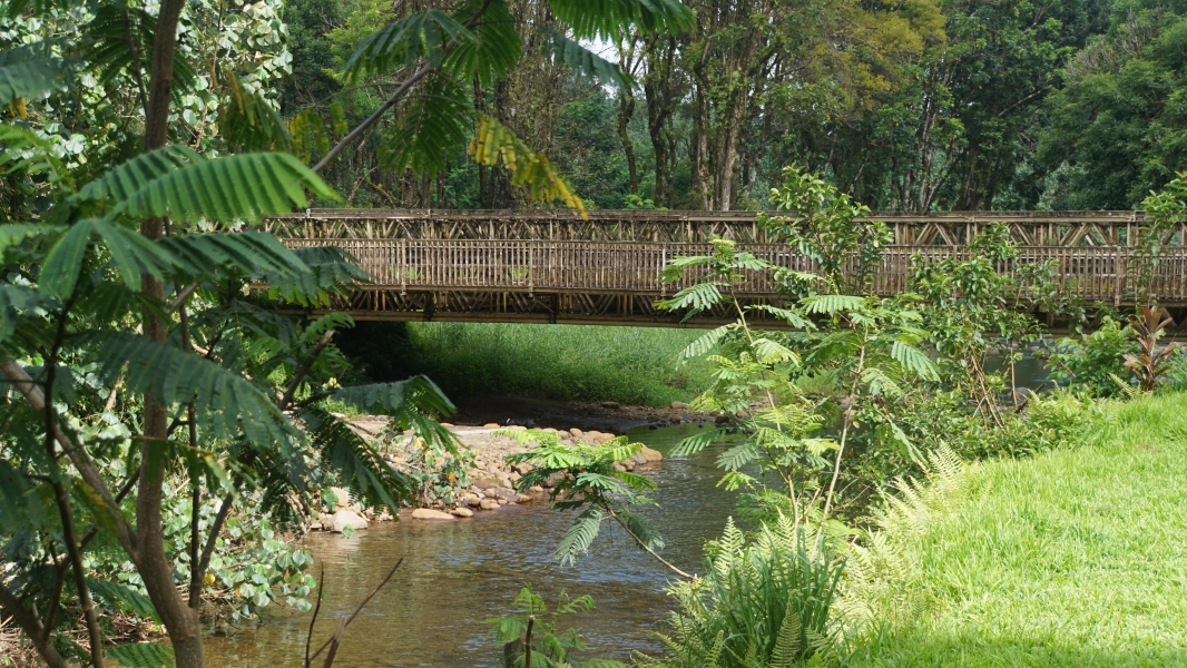 A steel truss bridge with faded white paint spans a calm creek with stones along the side and trees growing in the distance