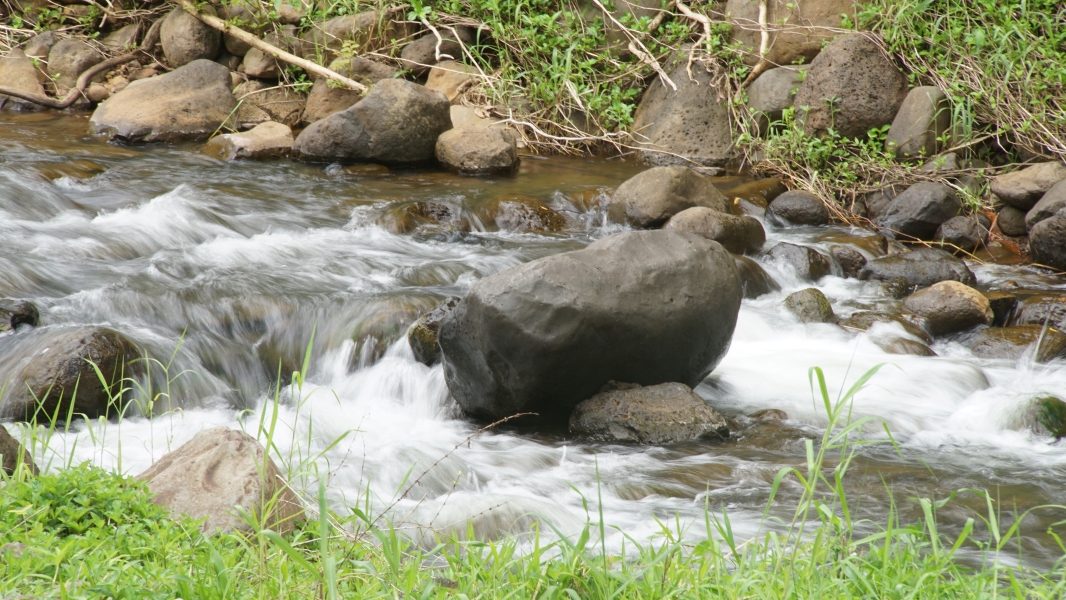 Water bubbles and rushes over and past rocks creating miniature rapids