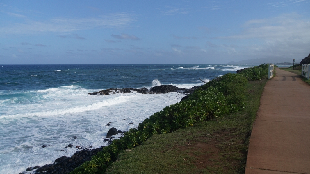 A concrete path runs along a green plant topped ridge that drops down to a stoney beach with waves crashing against the rocks