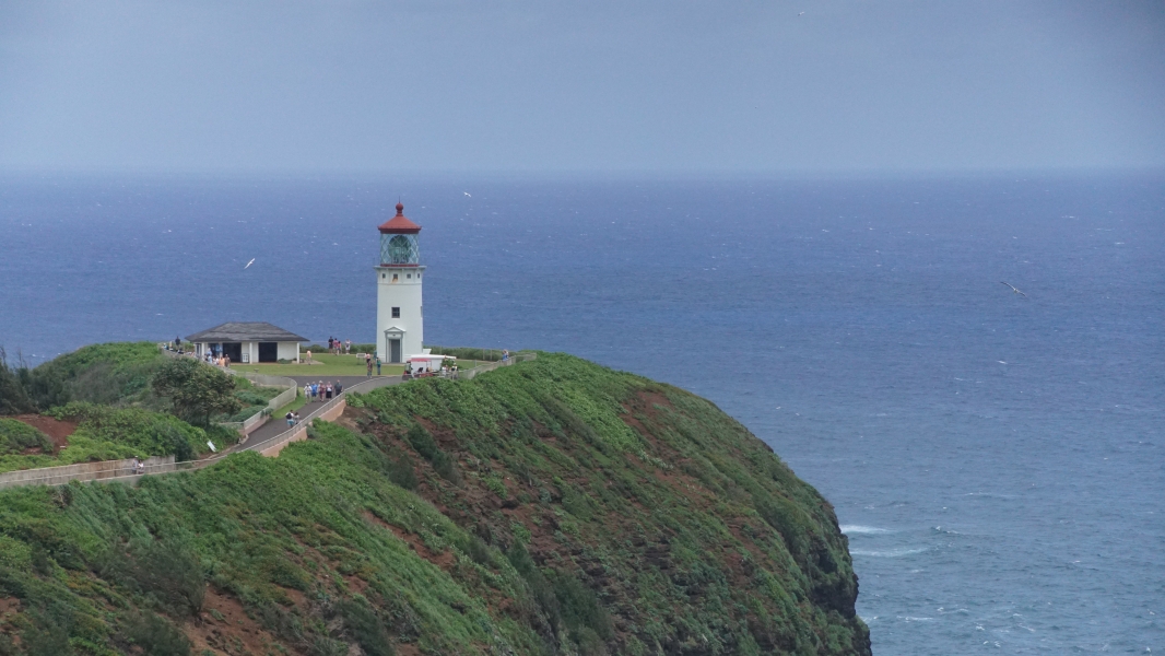Sea birds fly in the air near a lighthouse and small support building standing on a flat area at the end of a green ridge extending out into the ocean