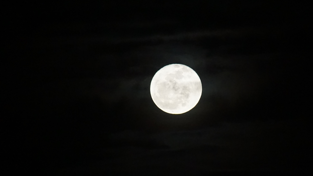 The moon is a white disk with gray splotches in a black night sky