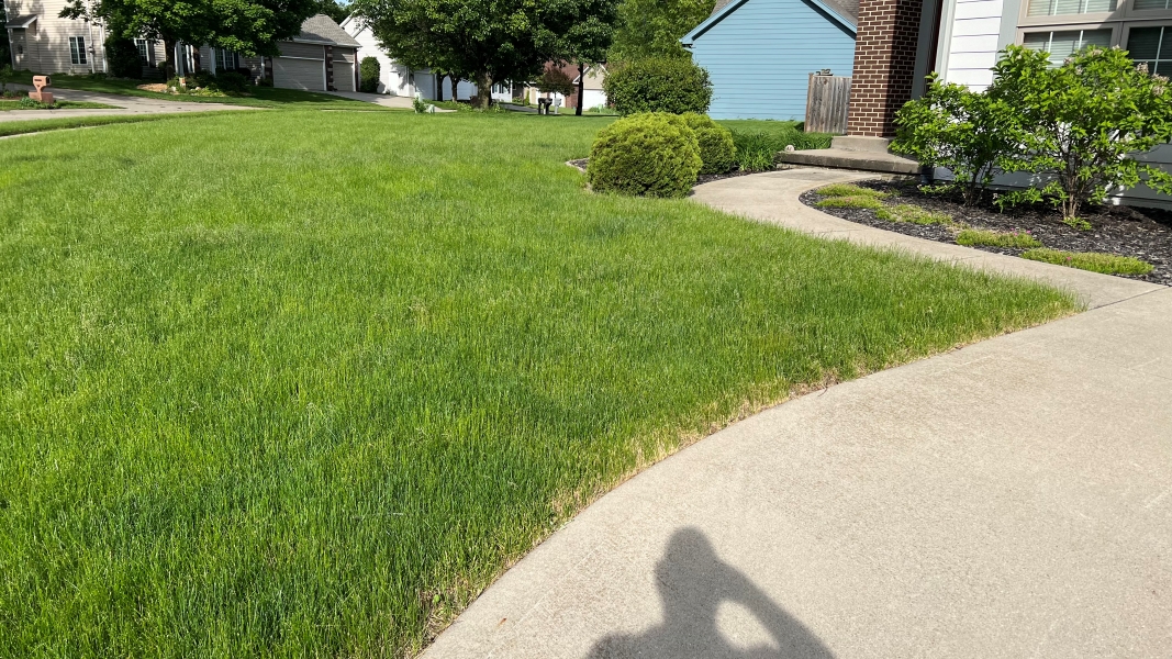 A green yard of ankle-deep grass wraps around landscaping at a residential house