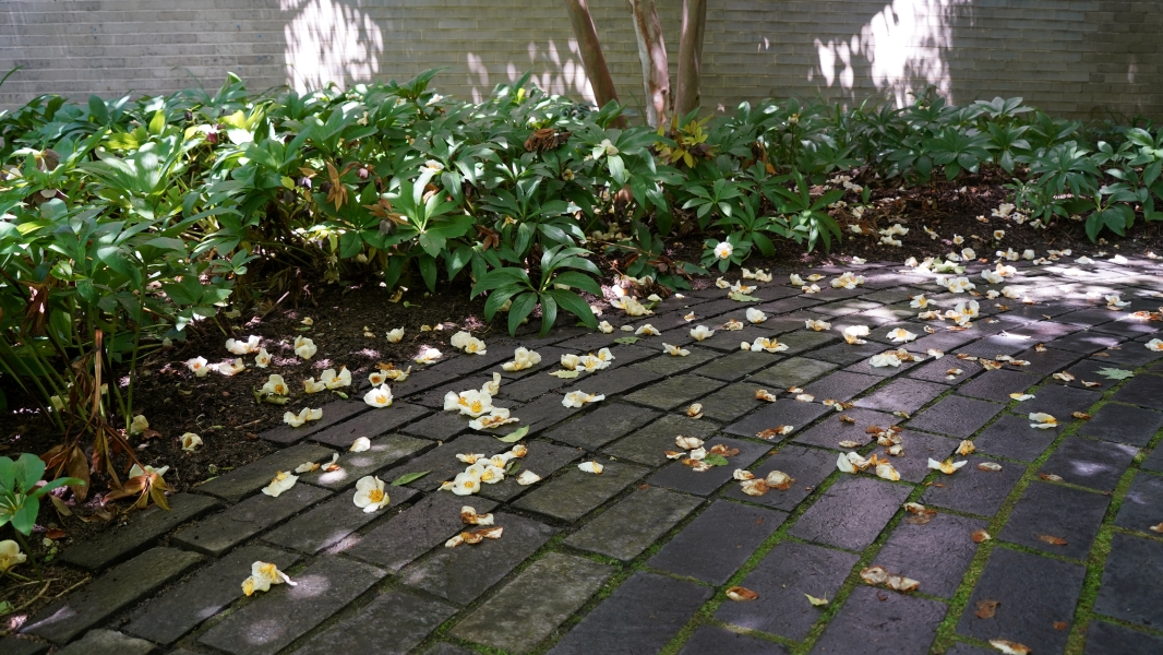 Image Three