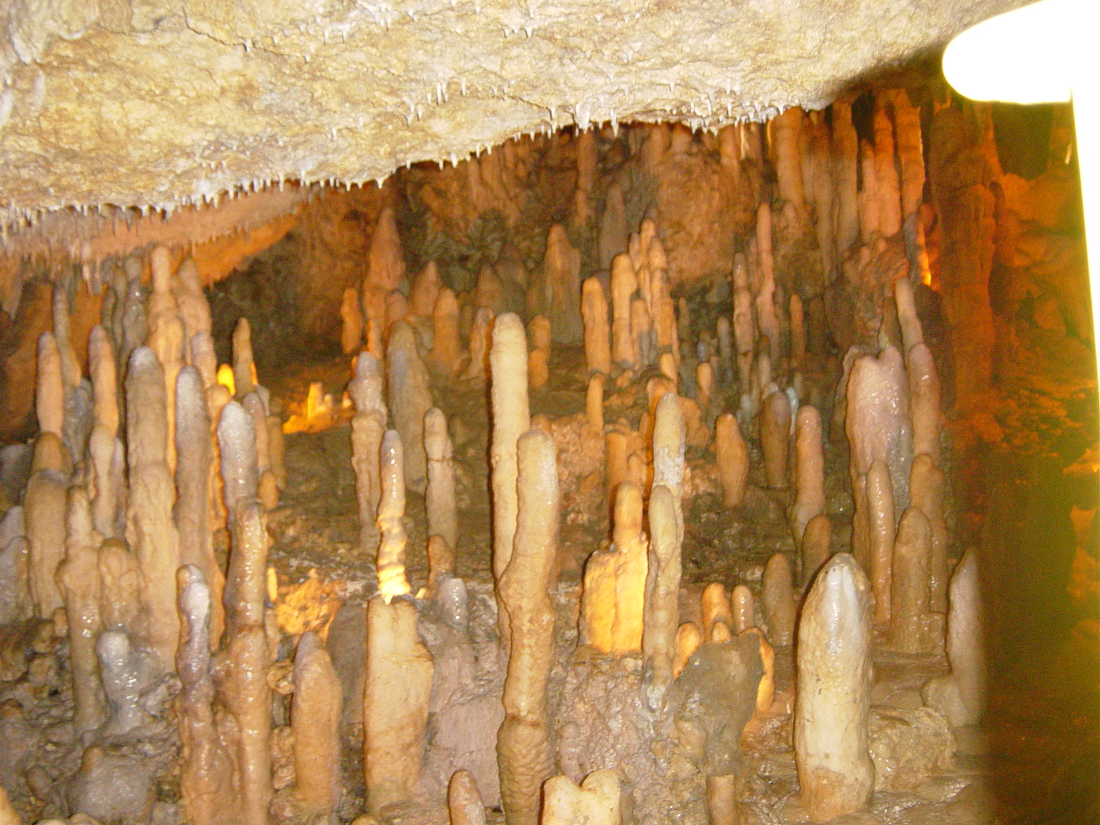 stalactites and stalagmites