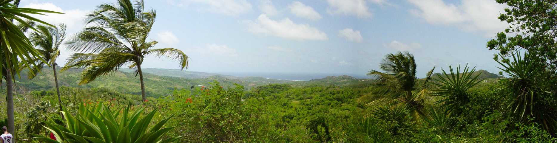 Coast line panoramic.