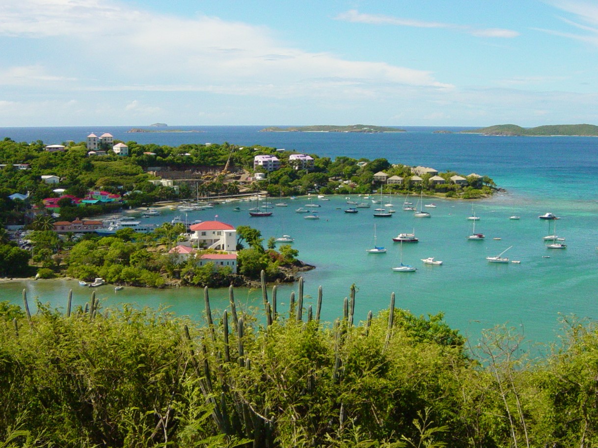 Small bay with many small ships