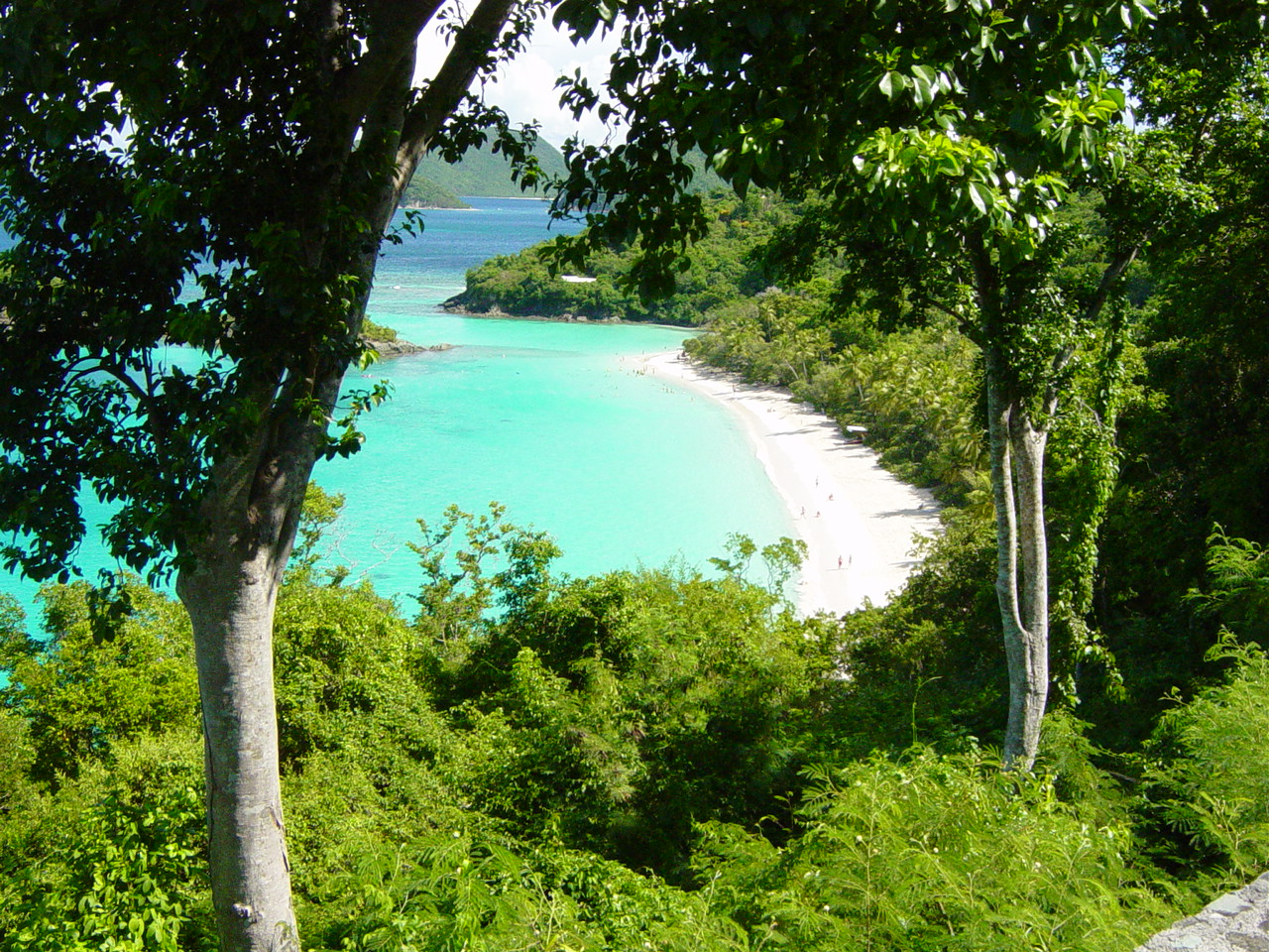 Another white sandy beach and aqua waters through the trees